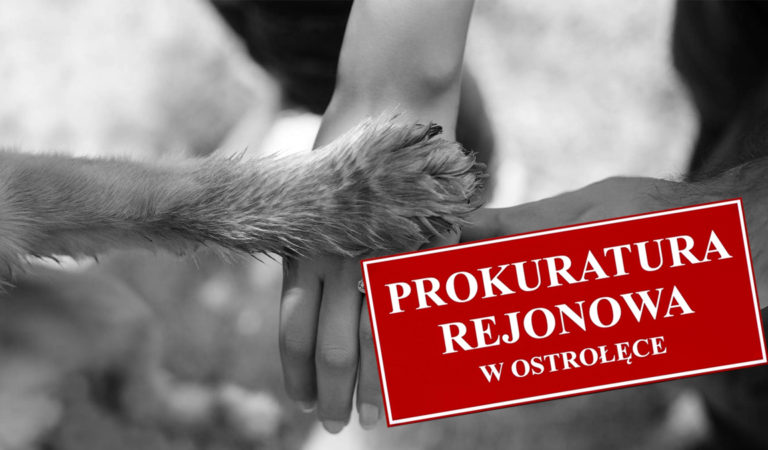 Zbrodnia w Ostrołęce: Zatłukł psa na śmierć “bo szczekał”