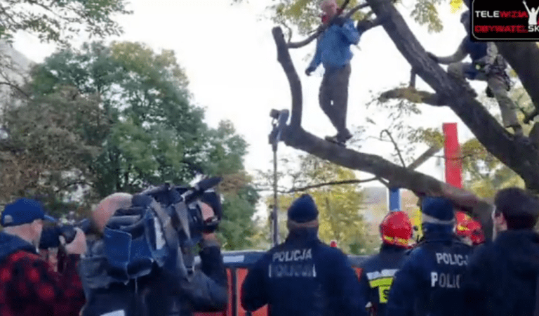 Warszawa. “Policyjny pluton” ściąga z drzewa “groźnego” manifestanta [VIDEO]