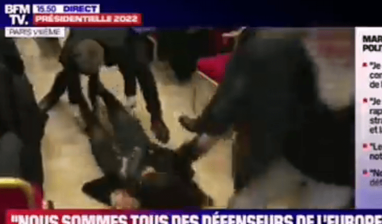 Brutalna interwencja ochroniarzy Le Pen. “Zrobią z Paryża Moskwę”[VIDEO] ￼