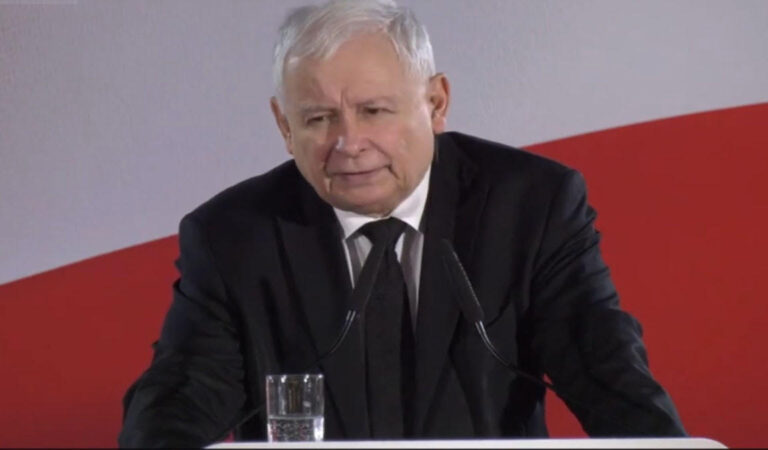 Kaczyński twierdzi, że Polacy zabierali z głodu kartofle dzikom w lasach [VIDEO]
